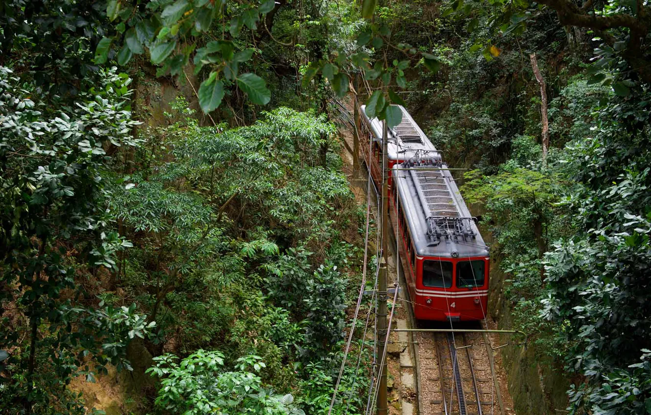 Photo wallpaper train, Brazil, Rio de Janeiro, Tijuca forest national Park, mount Corcovado