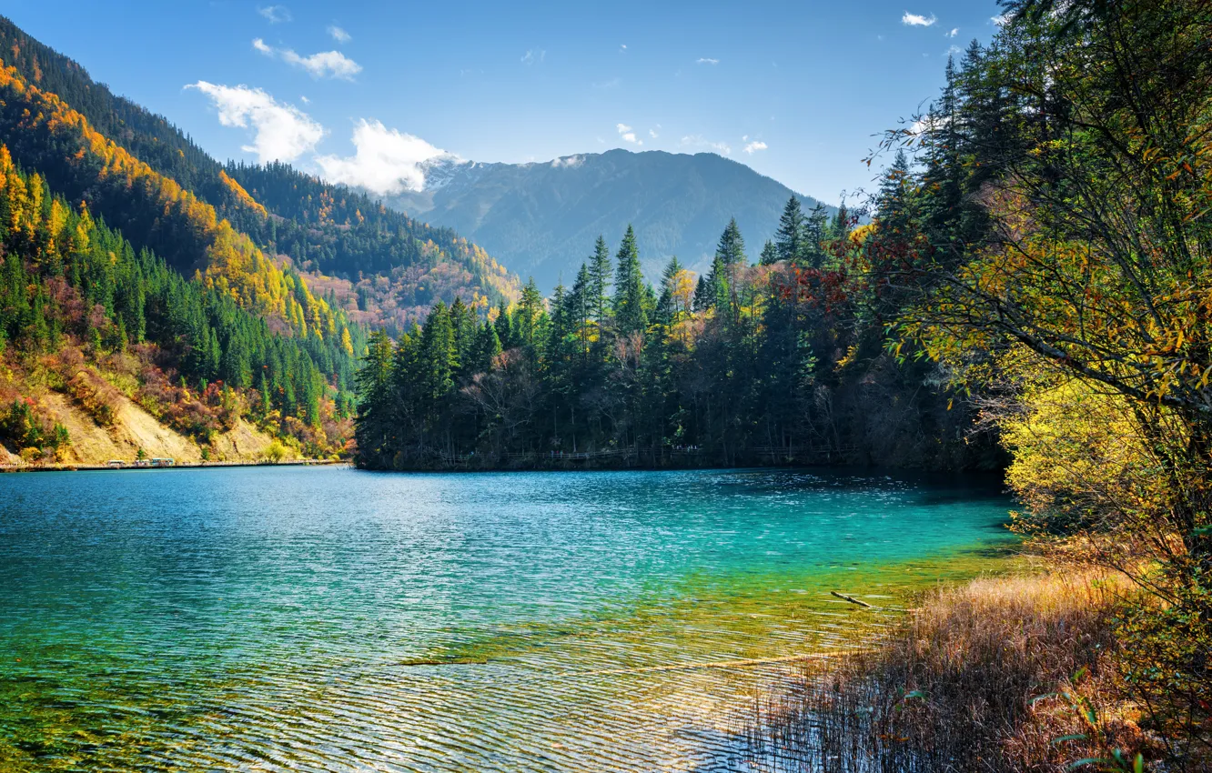 Photo wallpaper autumn, forest, the sky, the sun, clouds, trees, mountains, lake