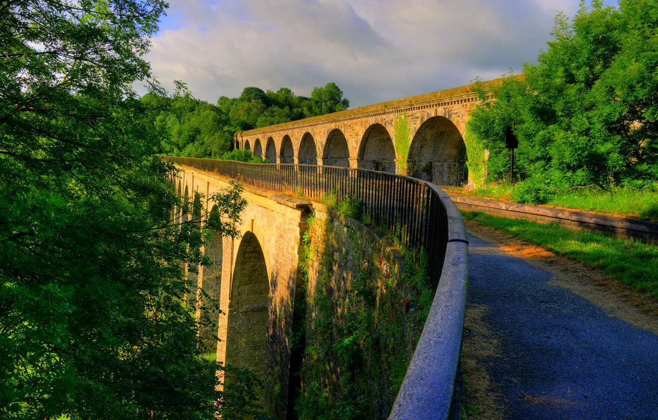 Photo wallpaper greens, the sun, trees, bridge, England, structure, Shropshire, Chirk Bank