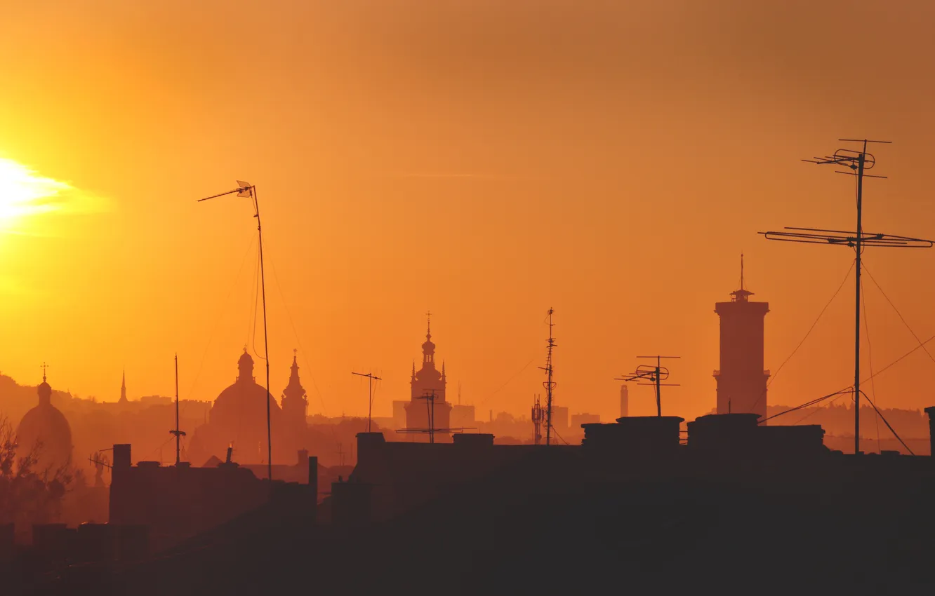 Photo wallpaper the sun, the city, morning, Lions, Lions, Lviv, Ukraine.