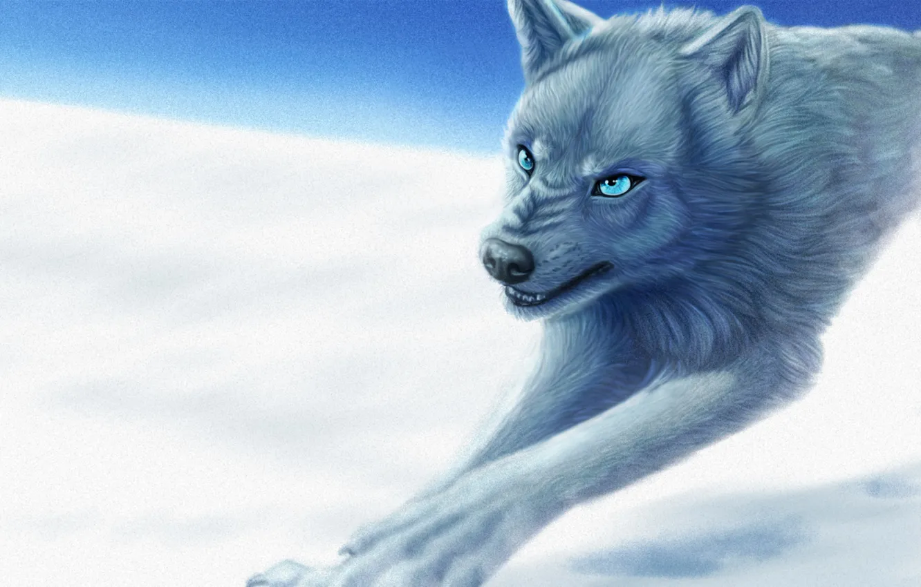Photo wallpaper winter, look, snow, animal, wolf, paws, art