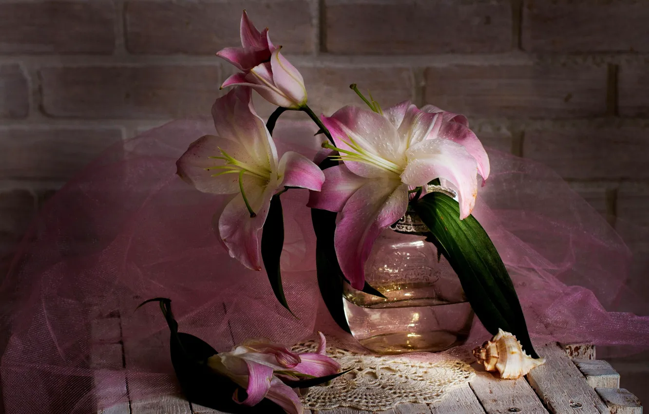 Photo wallpaper flower, Lily, morning, still life