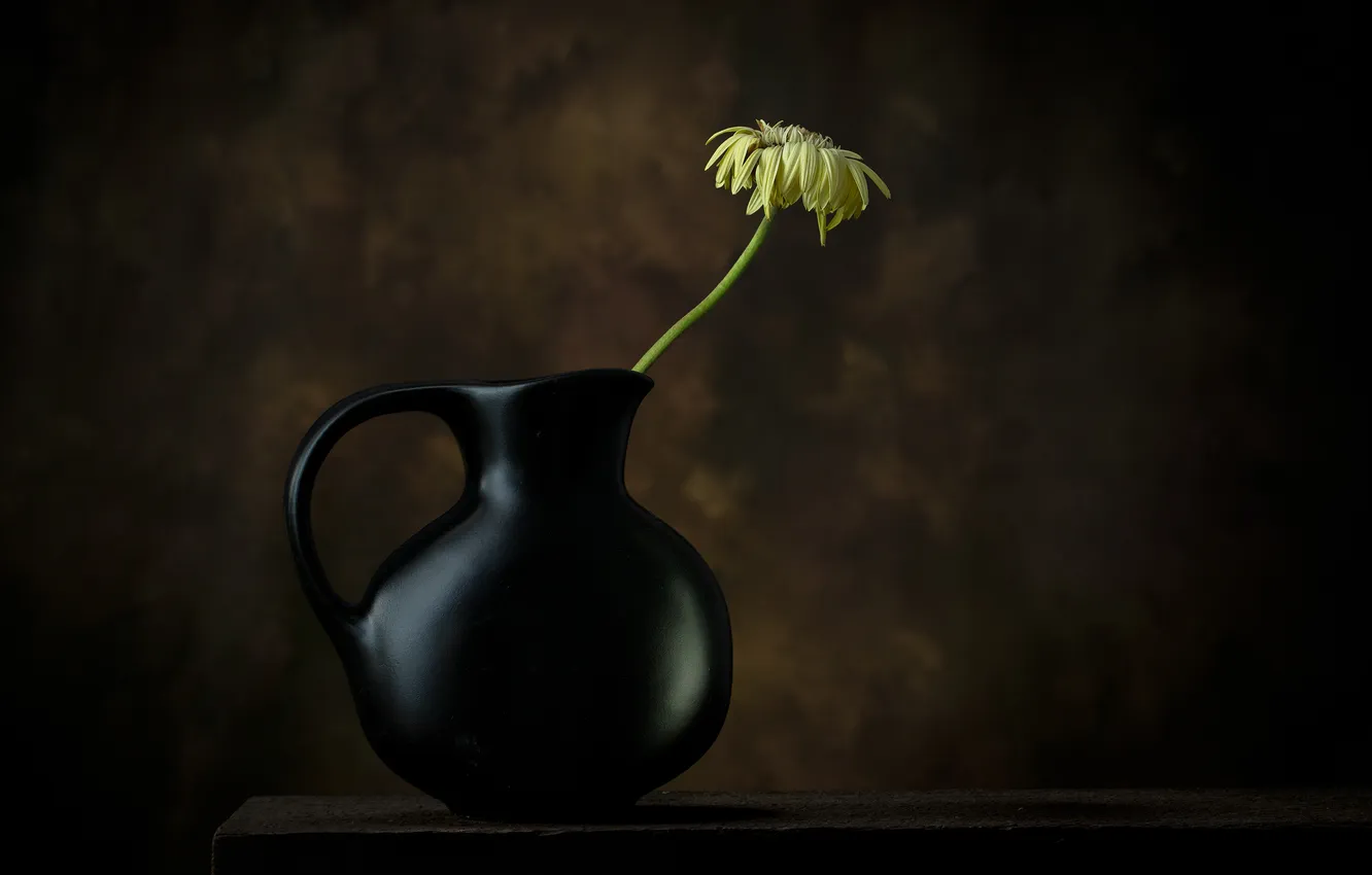 Photo wallpaper flowers, yellow, the dark background, table, pitcher, still life, ceramics
