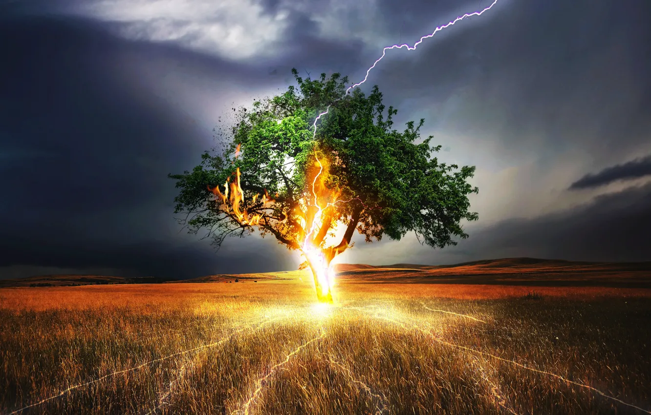 Photo wallpaper TREE, GRASS, The SKY, FIELD, CLOUDS, CATEGORY, LIGHTNING, The STORM
