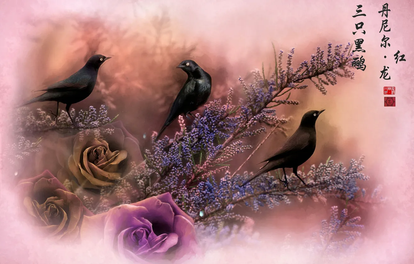 Photo wallpaper birds, branches, rose, characters