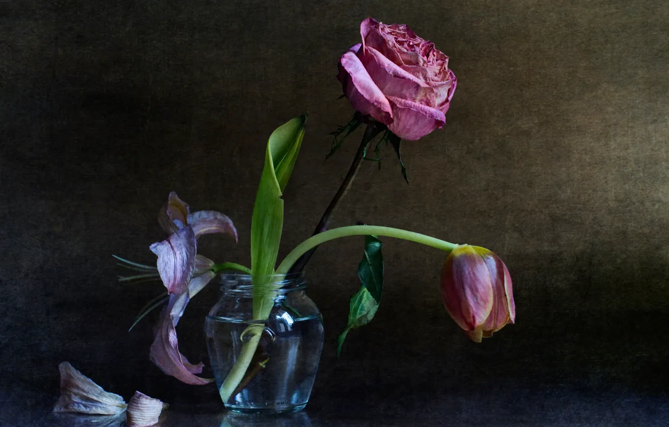 Photo wallpaper roses, bouquet, tulips, the elderly, ✿