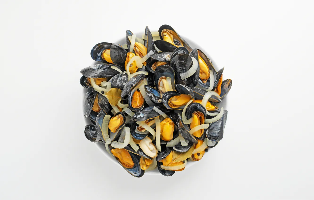 Photo wallpaper dish, seafood, mussels