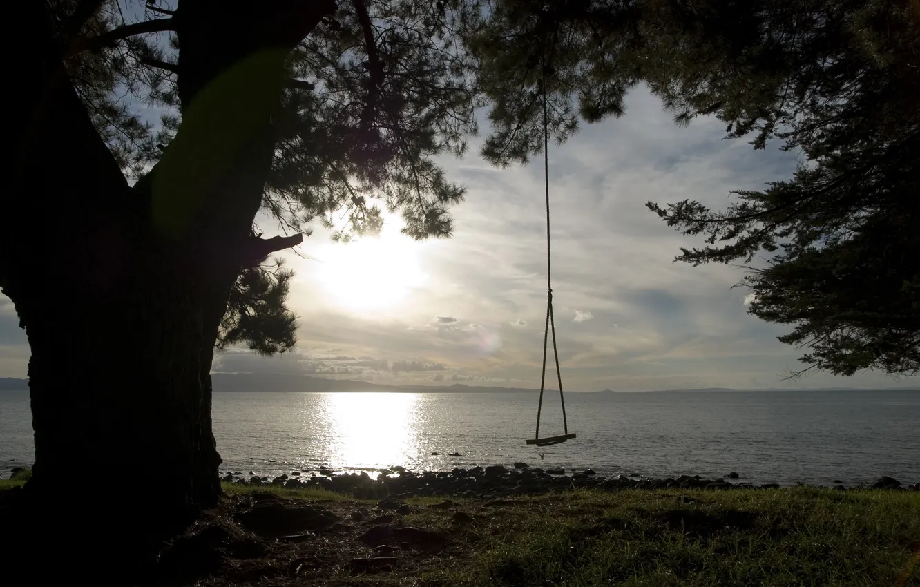 Photo wallpaper sea, trees, dawn, dal, rope, swing