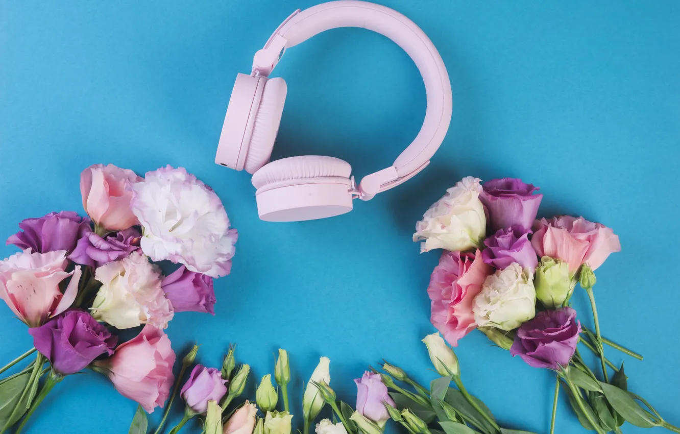 Photo wallpaper flowers, background, blue, bouquet, colorful, pink, pink, flowers