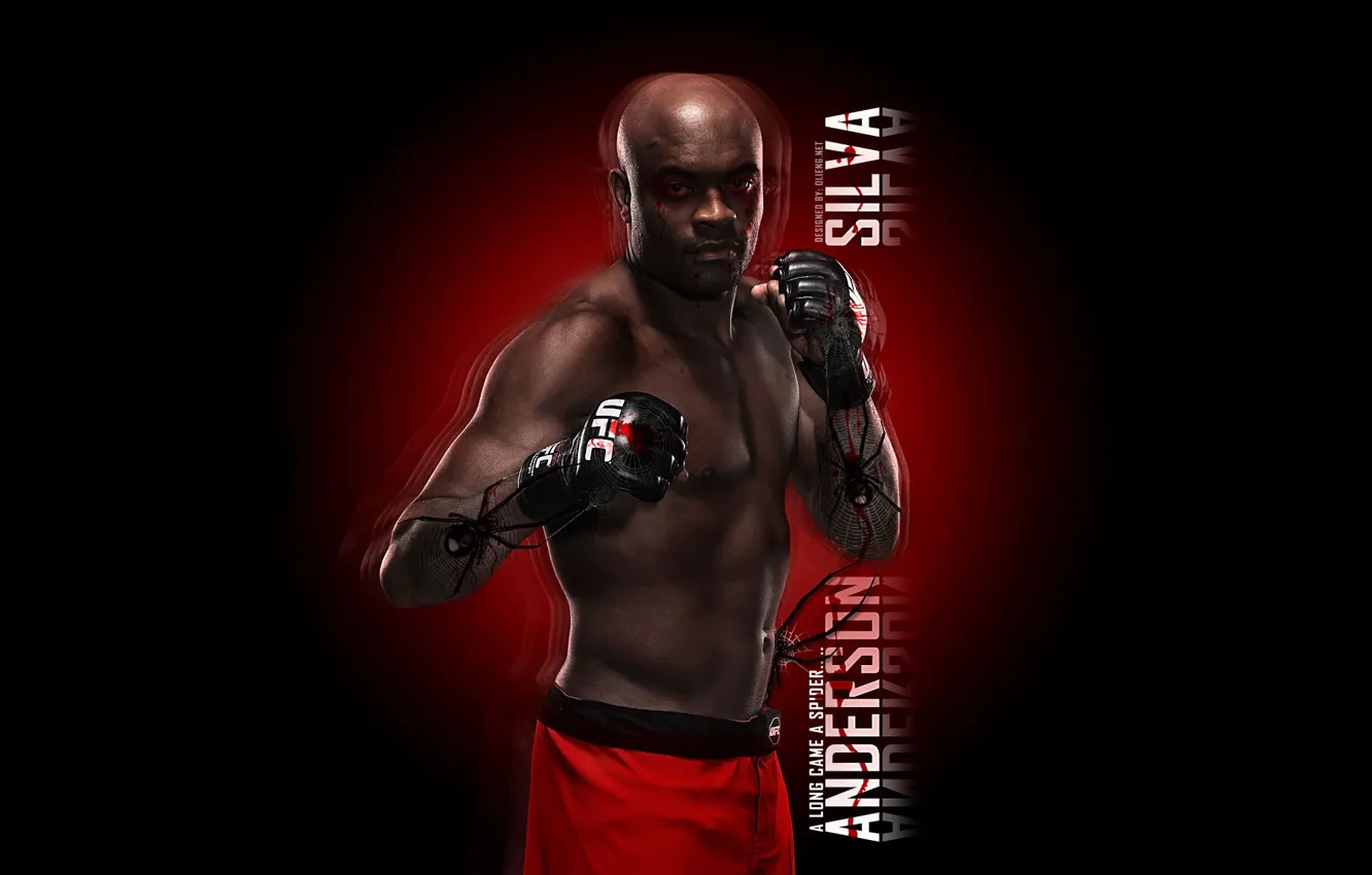 Photo wallpaper Anderson Silva, UFC, Spider
