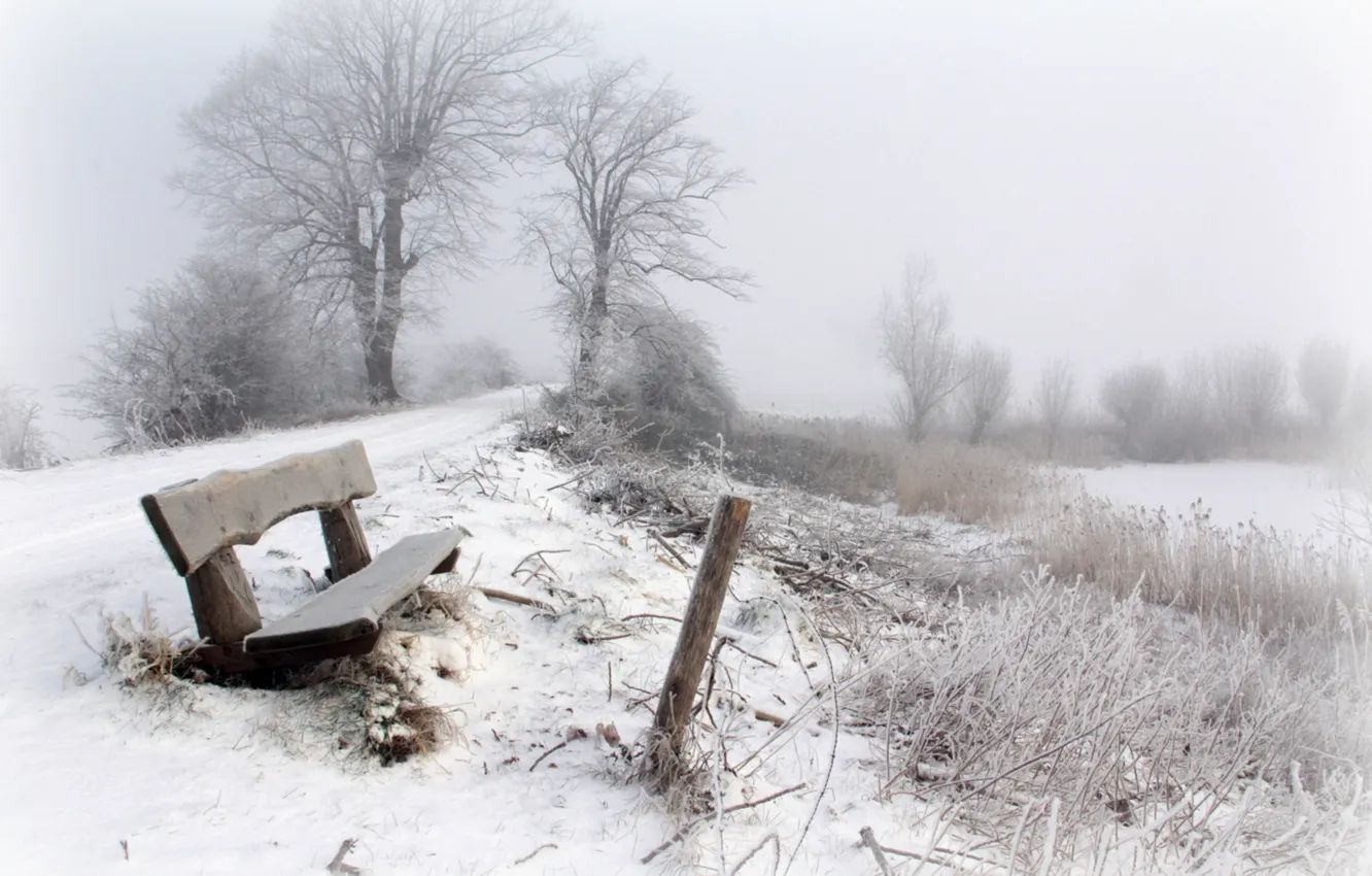 Photo wallpaper winter, snow, fog, bench