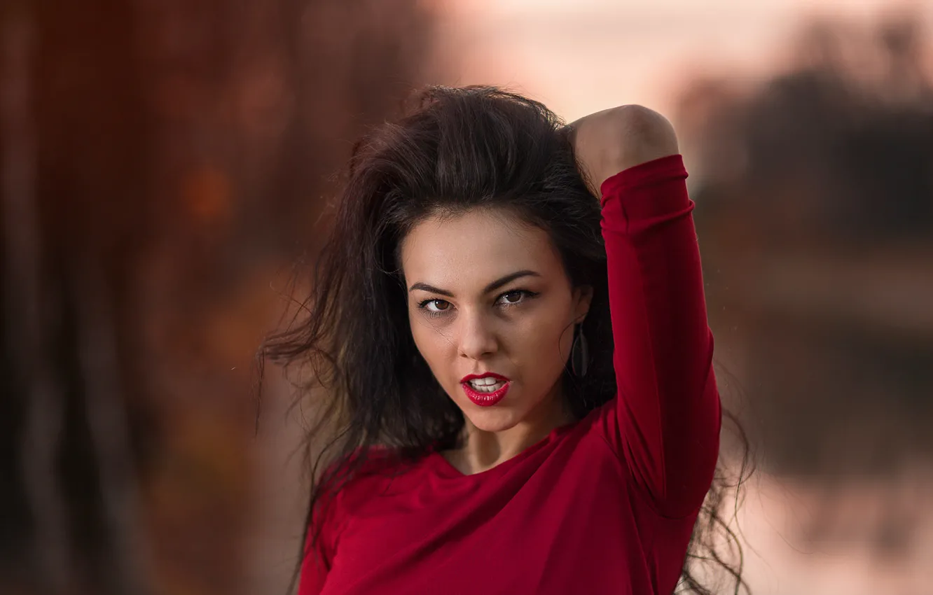 Photo wallpaper sponge, teeth, Emilia, Andrea Carretta