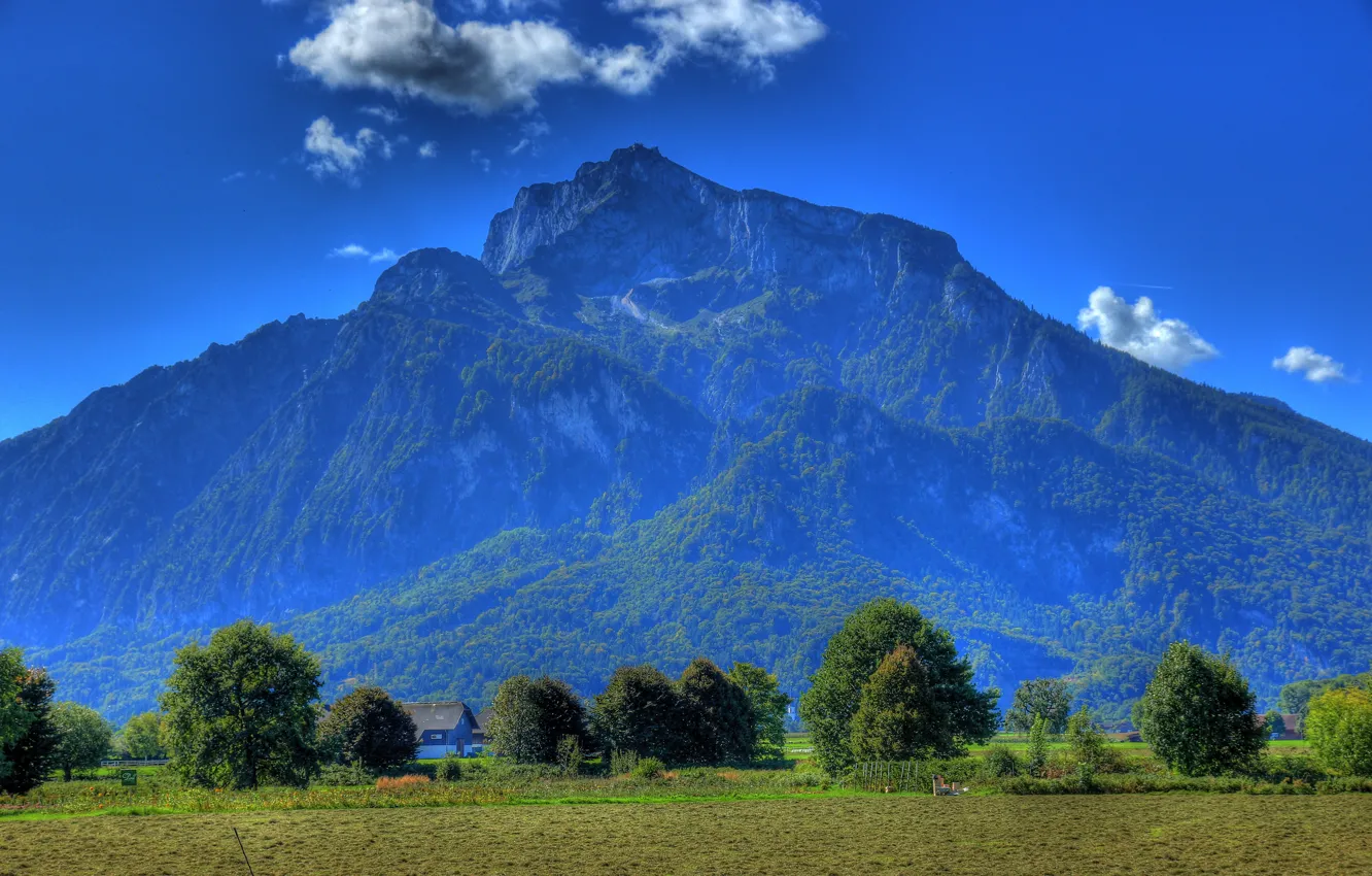 Photo wallpaper field, the sky, trees, mountains, blue, Austria, Anif