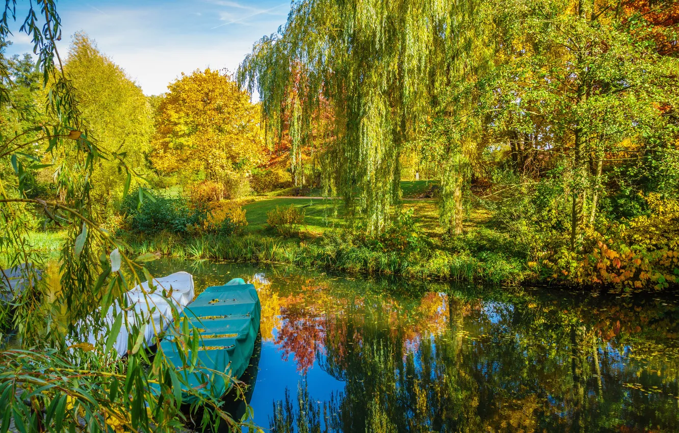 Photo wallpaper autumn, trees, pond, Park, the reeds, boats, alley, benches