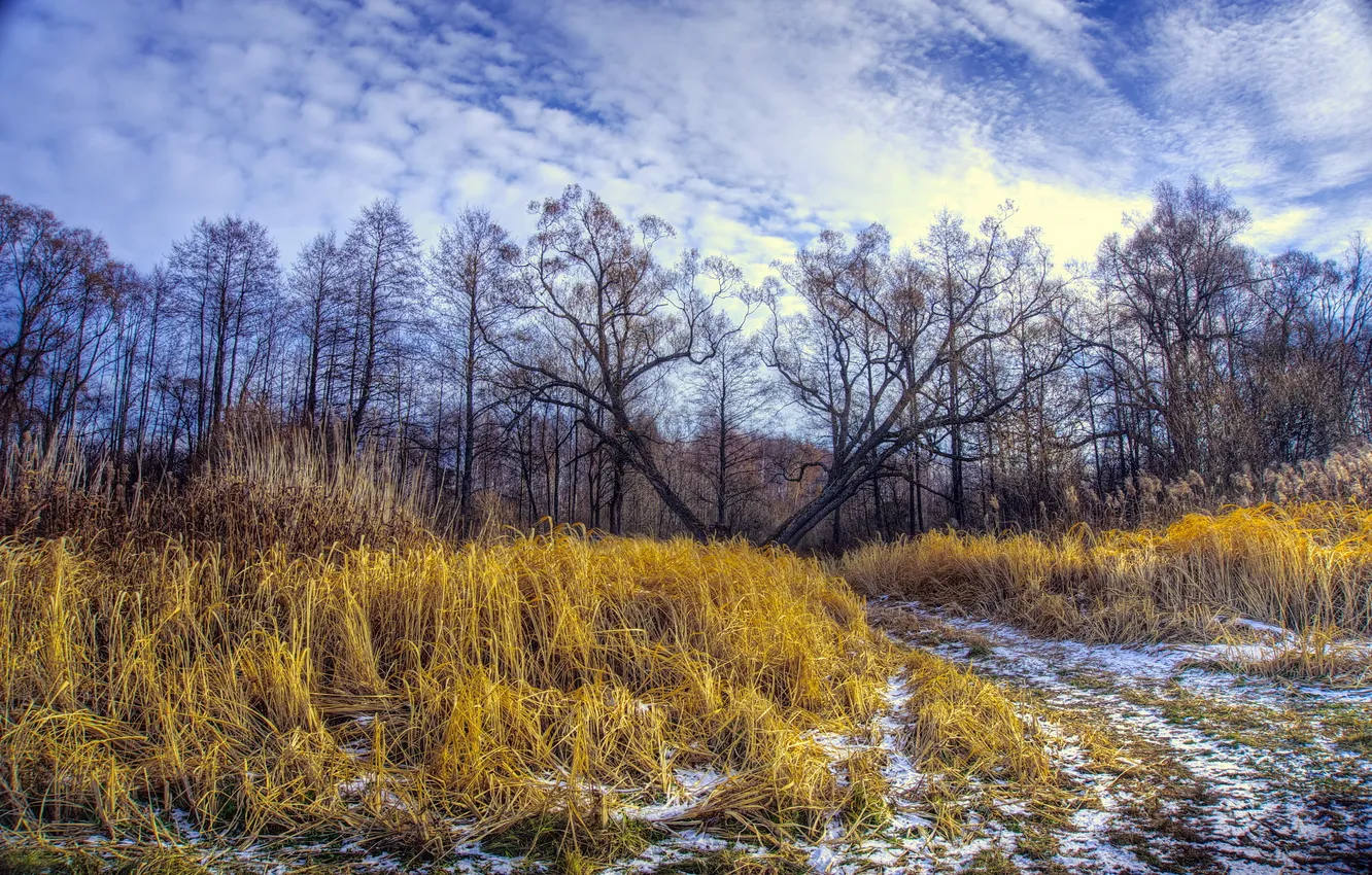 Photo wallpaper road, field, autumn, landscape