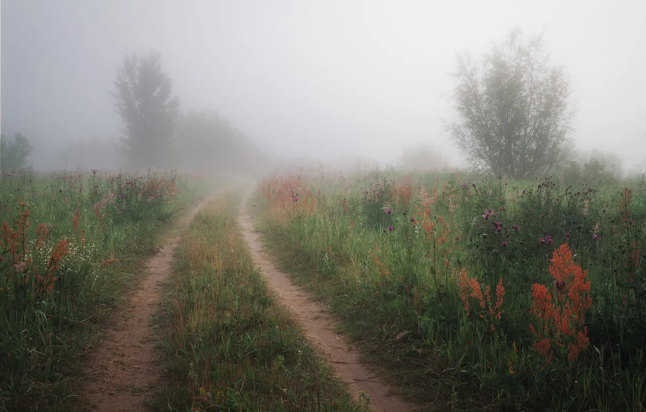 Photo wallpaper landscape, fog, morning, Evgeny Smolsky