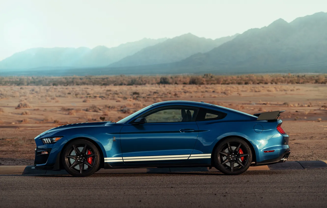 Photo wallpaper blue, Mustang, Ford, Shelby, GT500, side view, 2019