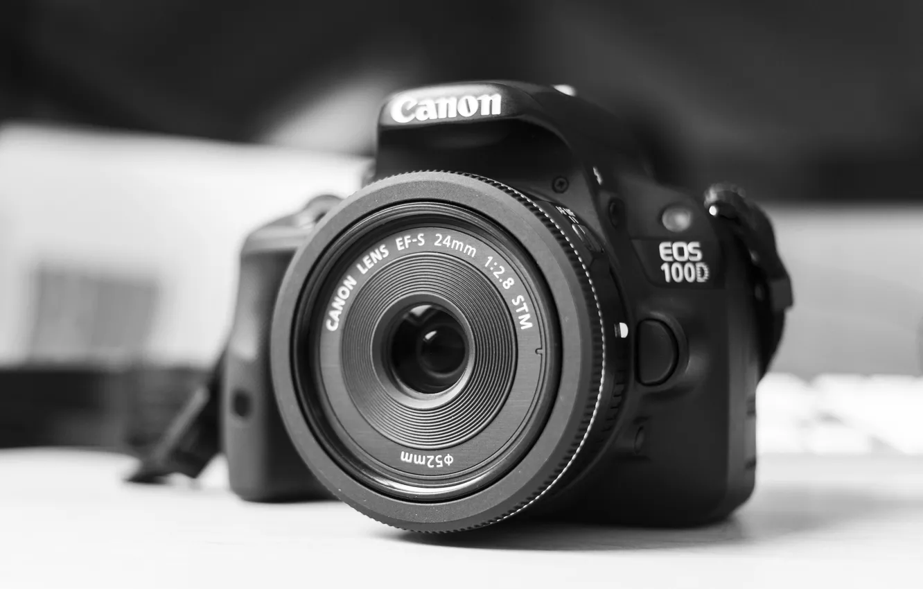 Photo wallpaper macro, background, camera