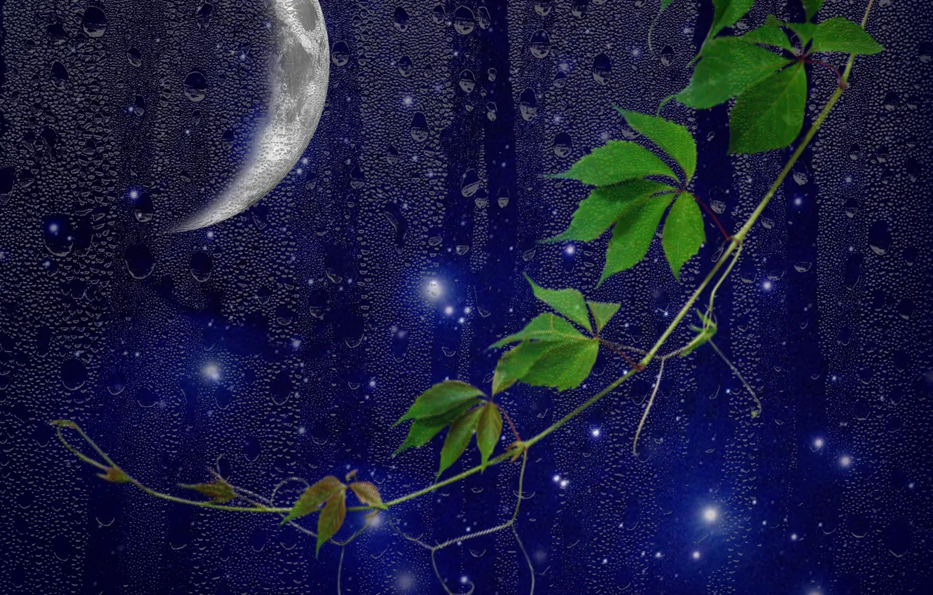Photo wallpaper moon, night, window, drops, darkness