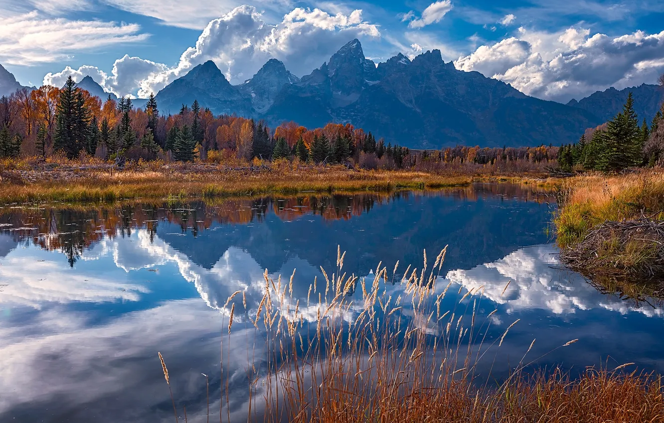 Photo wallpaper autumn, mountains, reflection, river, Wyoming, Wyoming, Grand Teton, Grand Teton National Park