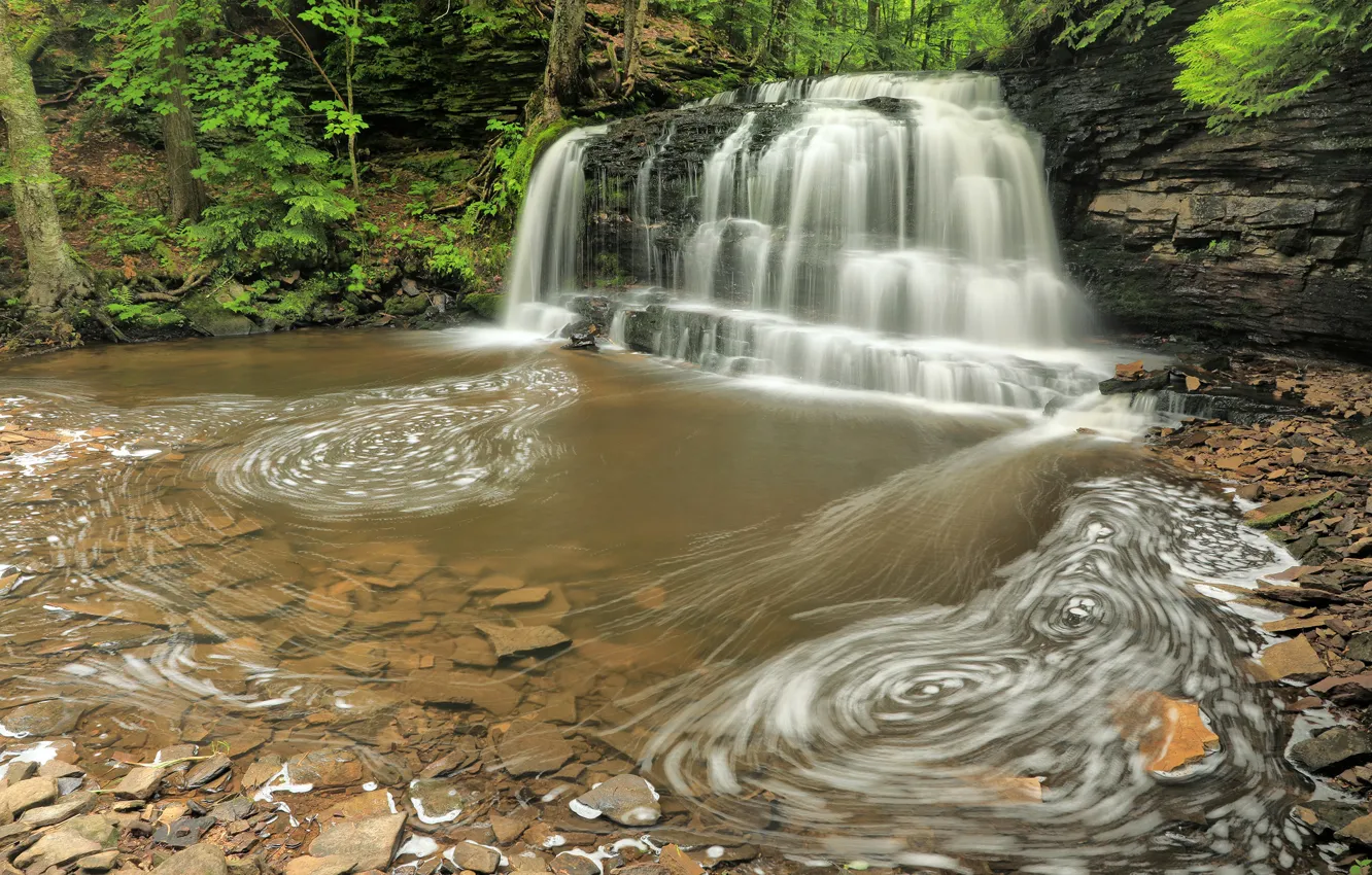 Photo wallpaper forest, trees, Park, stream, stones, waterfall, USA, Michigan
