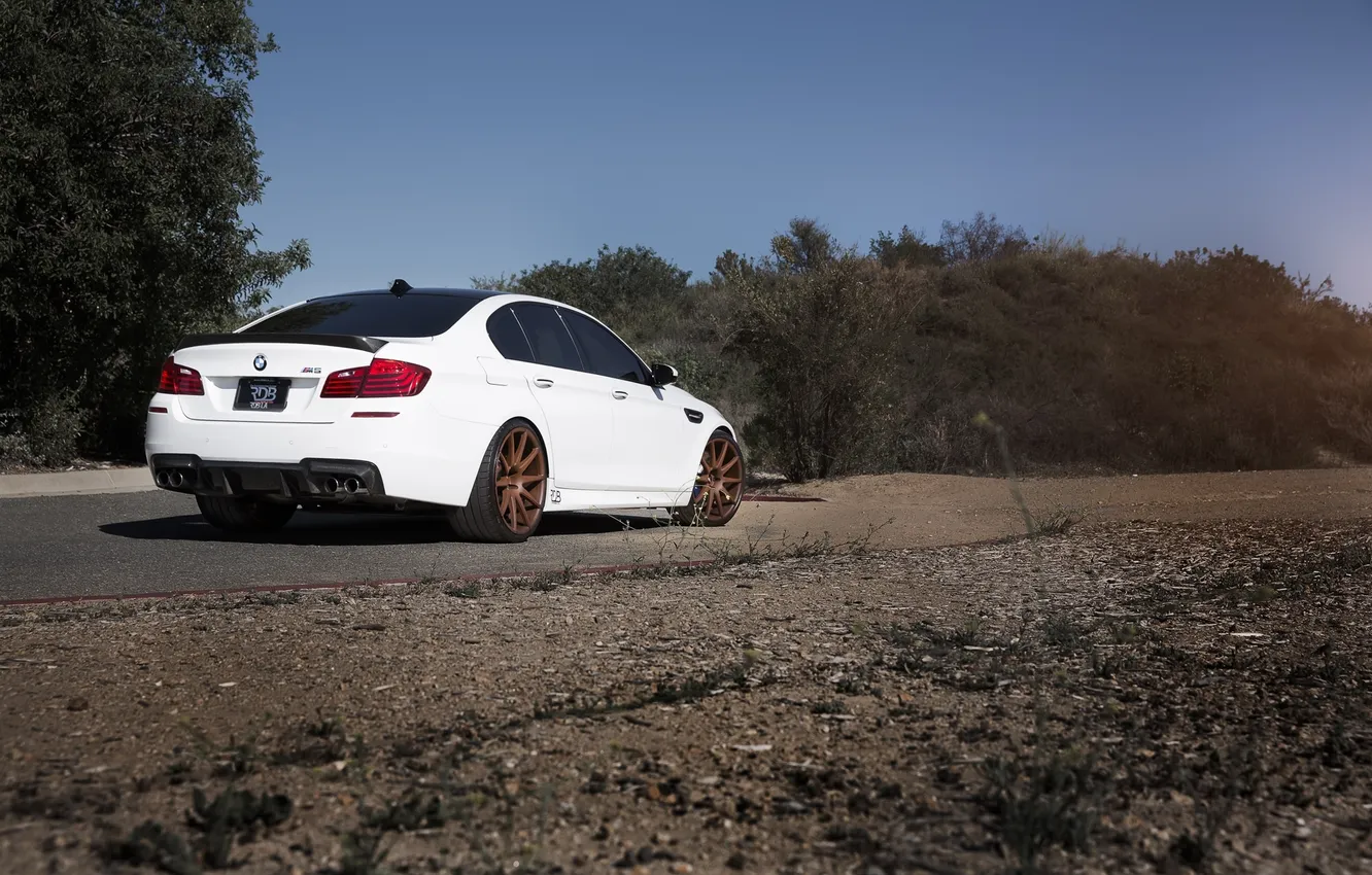 Photo wallpaper white, trees, BMW, BMW, white, sedan, rear view, F10