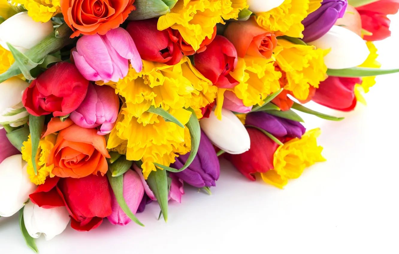 Photo wallpaper flowers, bouquet, tulips