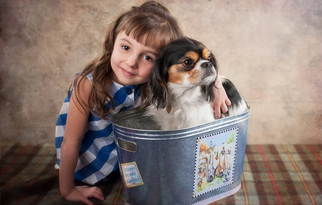 Photo wallpaper each, dog, girl