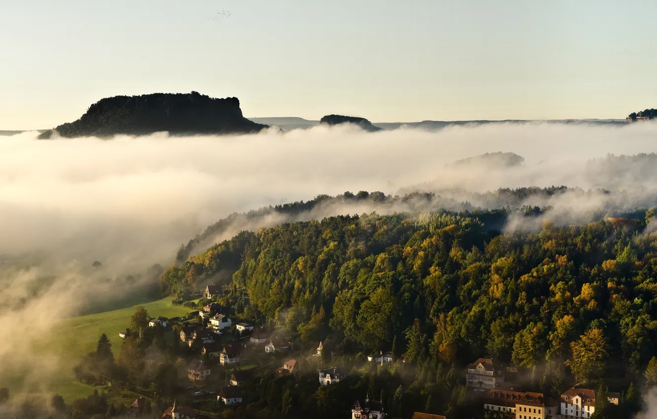 Photo wallpaper forest, landscape, mountains, nature, fog, home, panorama