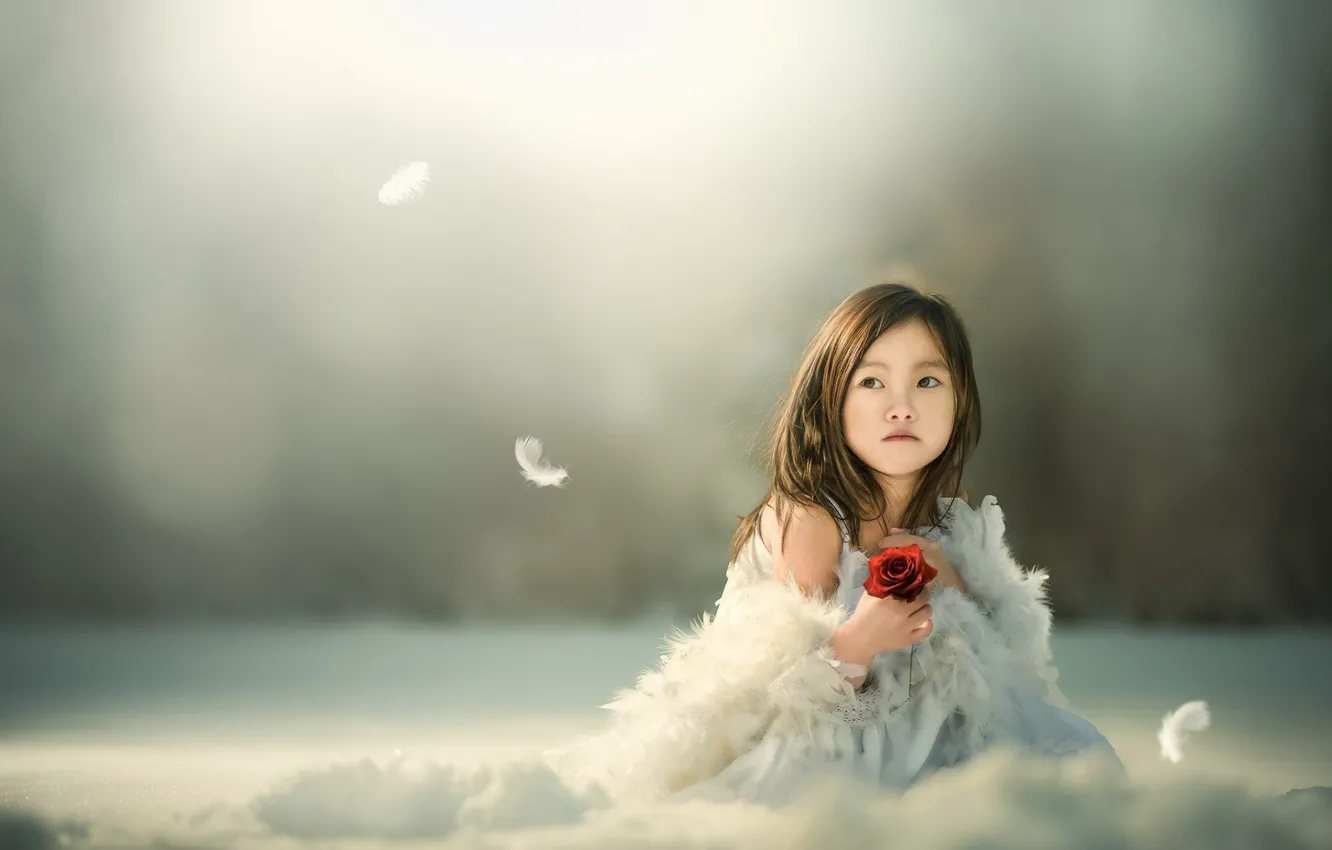 Photo wallpaper flower, background, girl, Asian