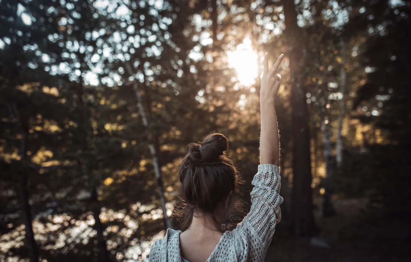 Photo wallpaper forest, summer, girl, the sun, trees, happiness, mood, back