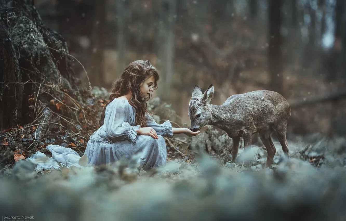 Photo wallpaper forest, girl, friends, fawn, Marketa Novak