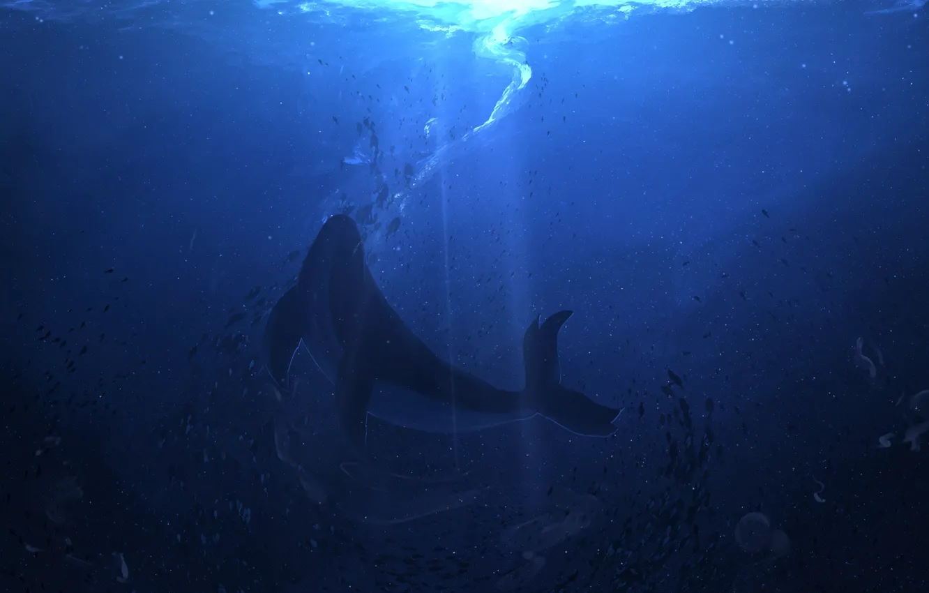 Photo wallpaper fish, under water, whale