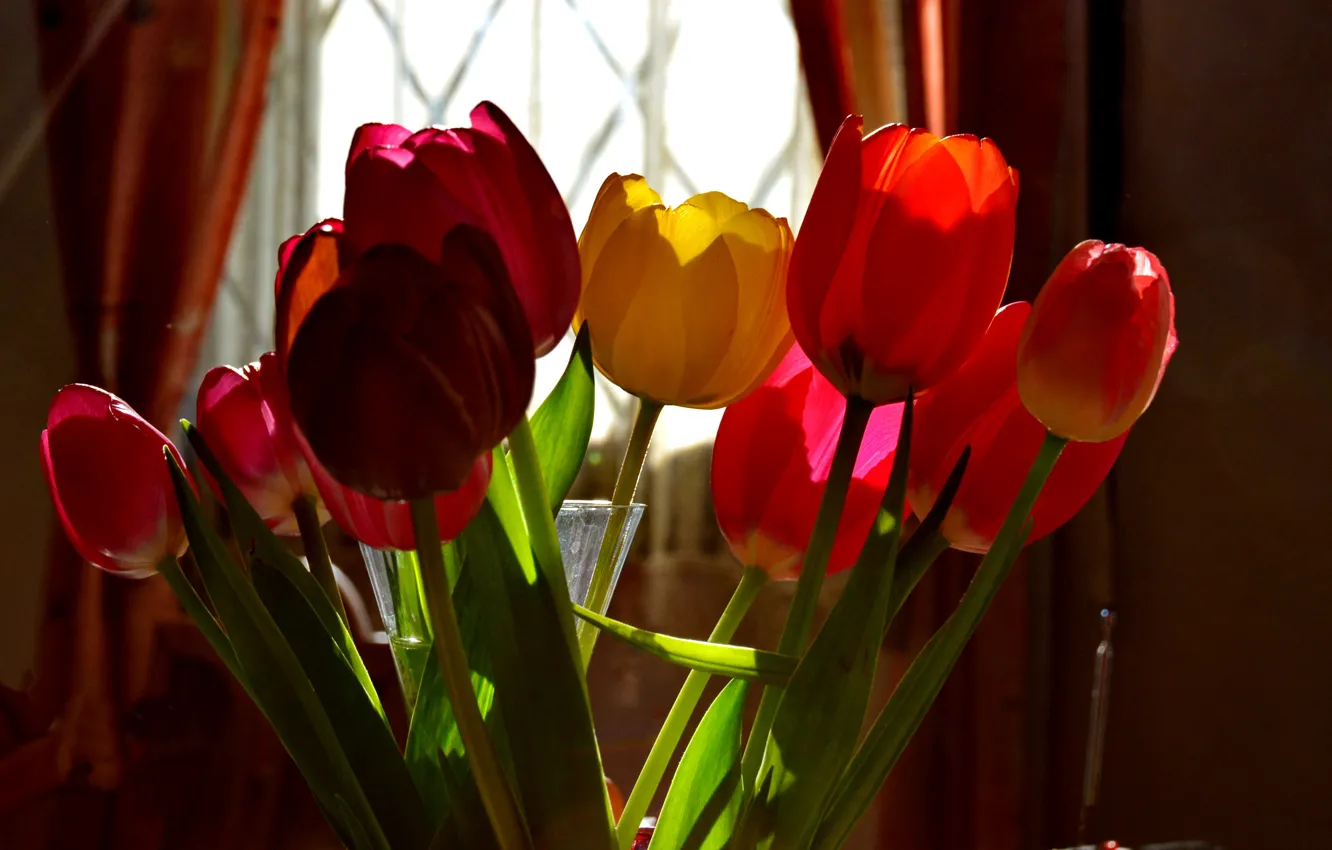 Photo wallpaper room, colors, spring, window, tulips, tulips, spring