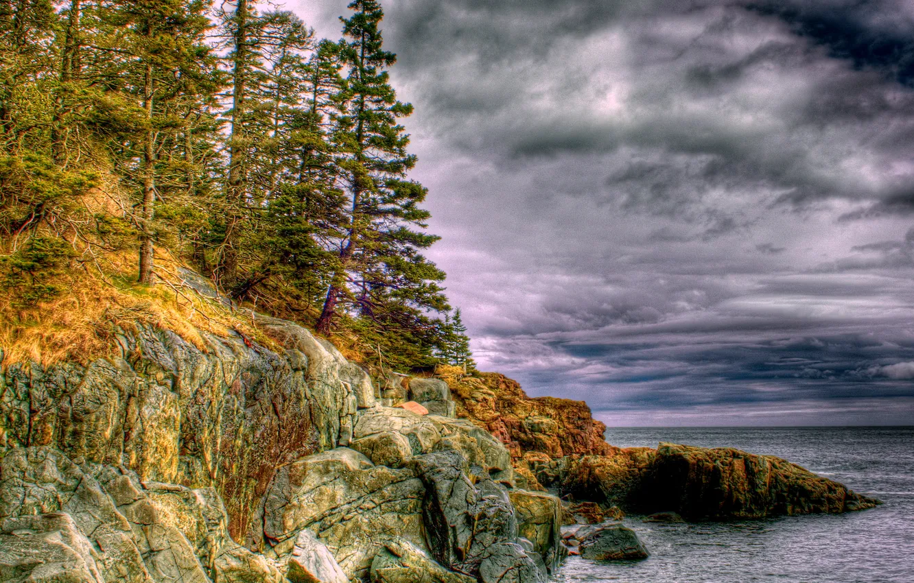 Photo wallpaper sea, forest, the sky, clouds, nature, stones, rocks, HDR