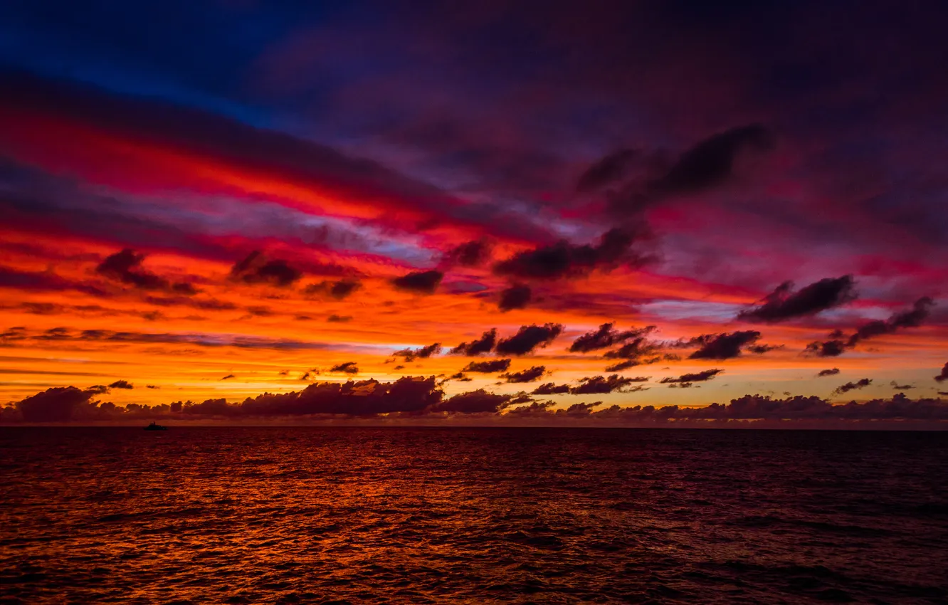 Photo wallpaper sea, the sky, clouds, sunset, horizon, twilight
