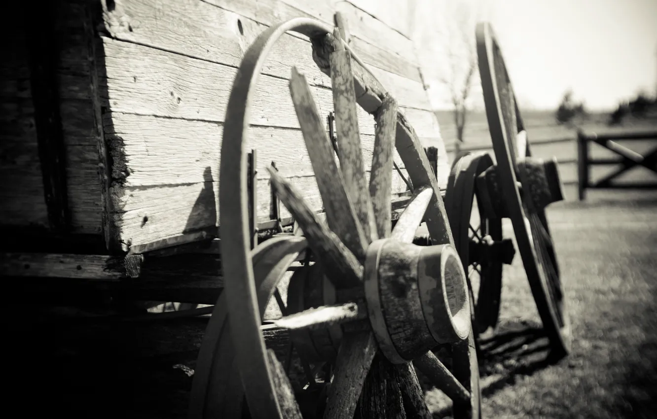 Photo wallpaper wheel, photos, black and white, cart, monochrome