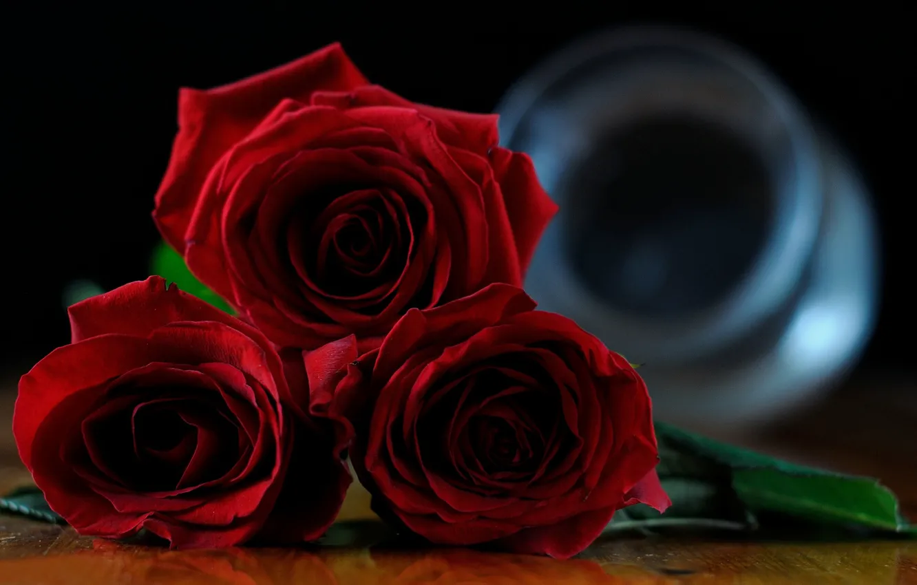 Photo wallpaper roses, buds, red roses