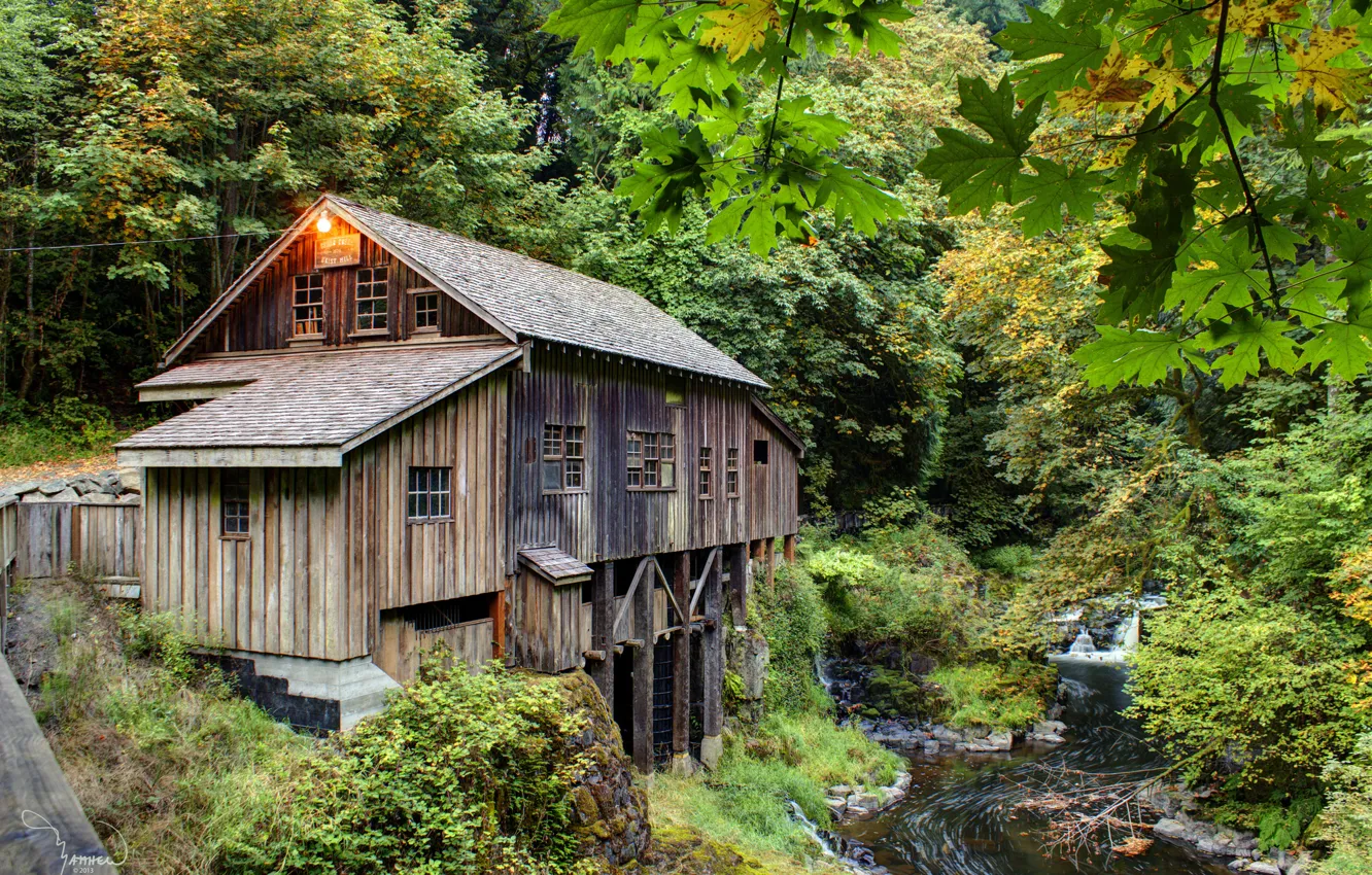 Photo wallpaper forest, summer, stream, mill