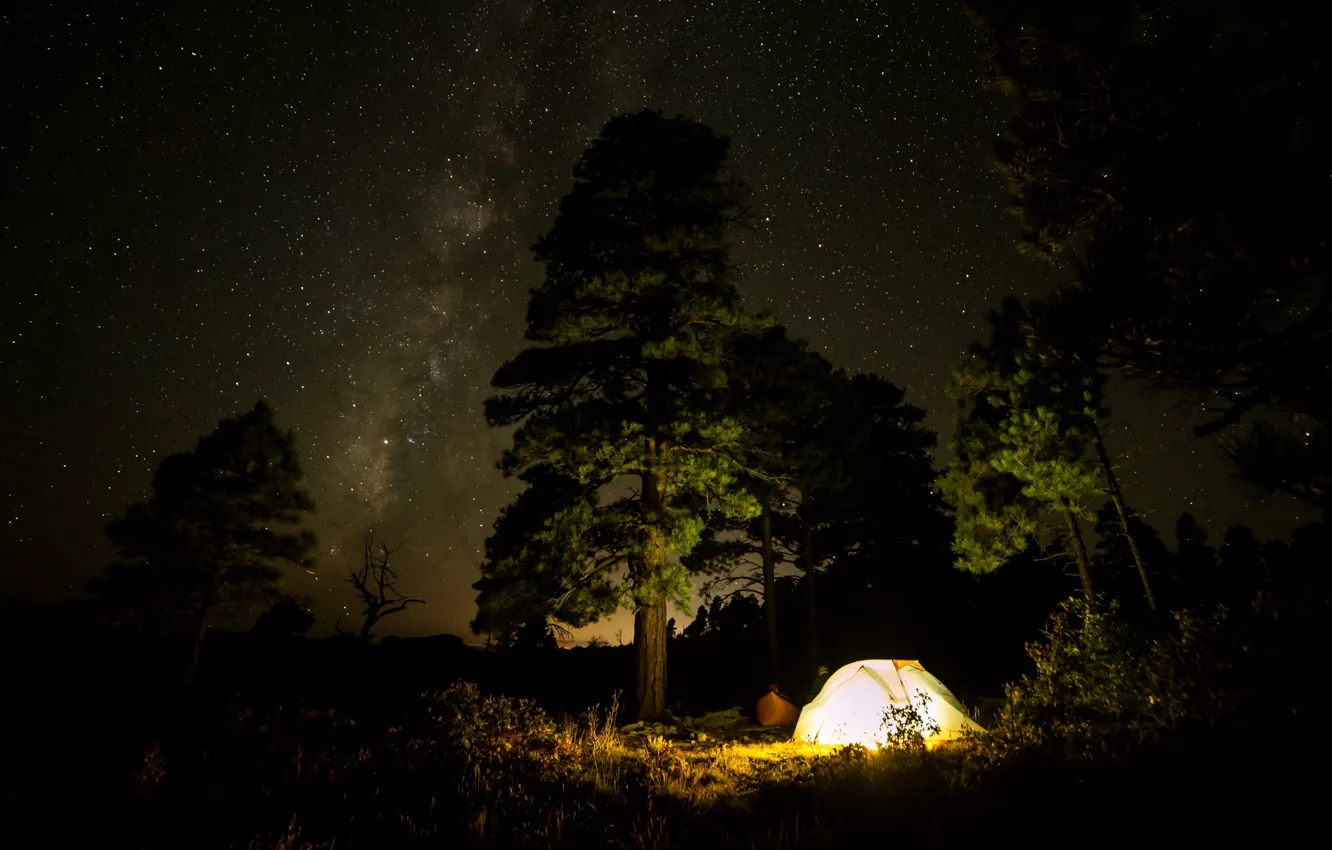 Photo wallpaper forest, the sky, light, trees, night, stars, The milky way, tent