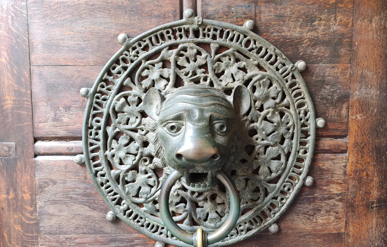 Photo wallpaper Leo, Germany, Hamburg, Germany, lion, Hamburg, St. Peter's Church, St Peters Church