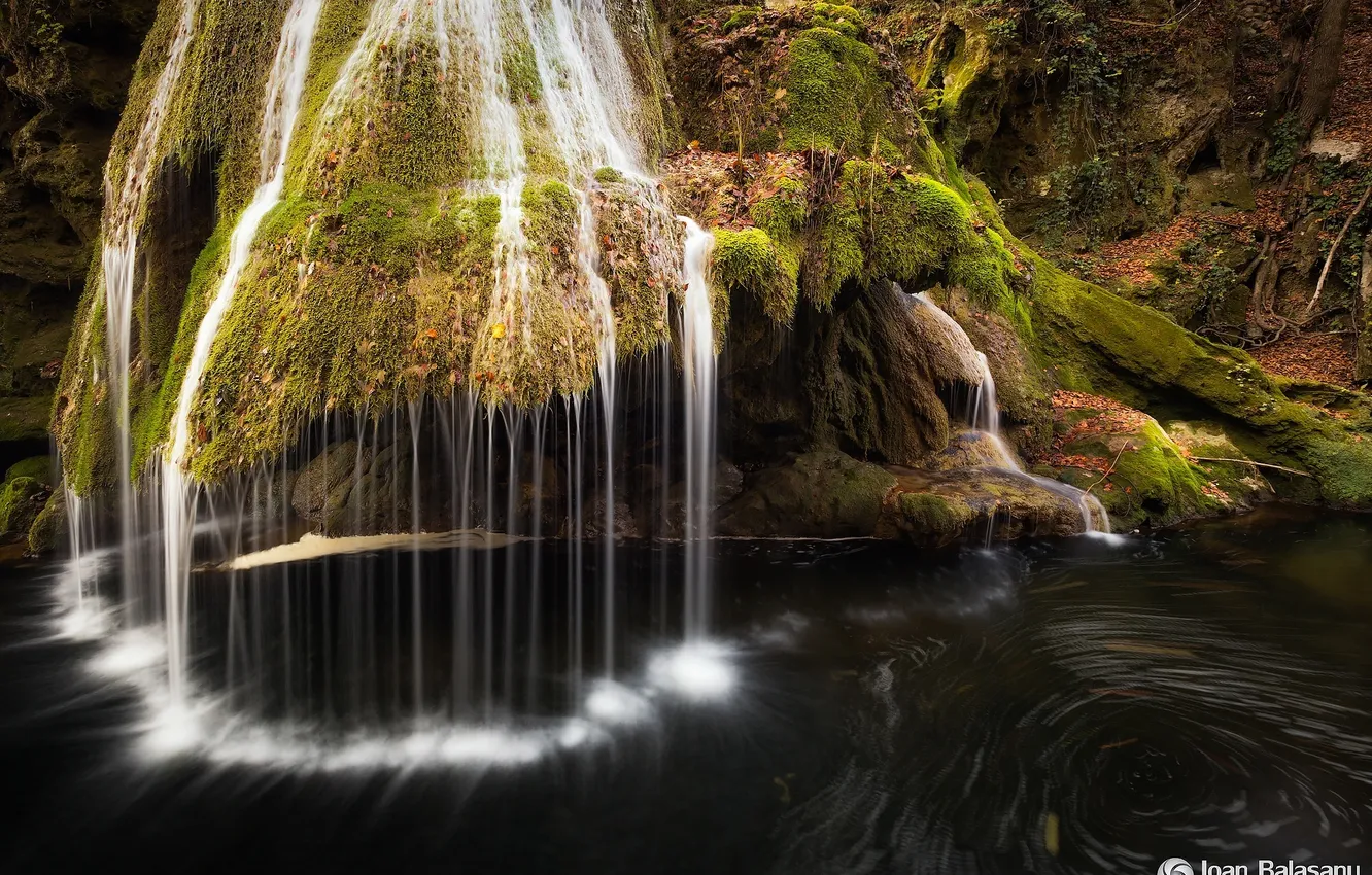 Photo wallpaper autumn, forest, nature, waterfall