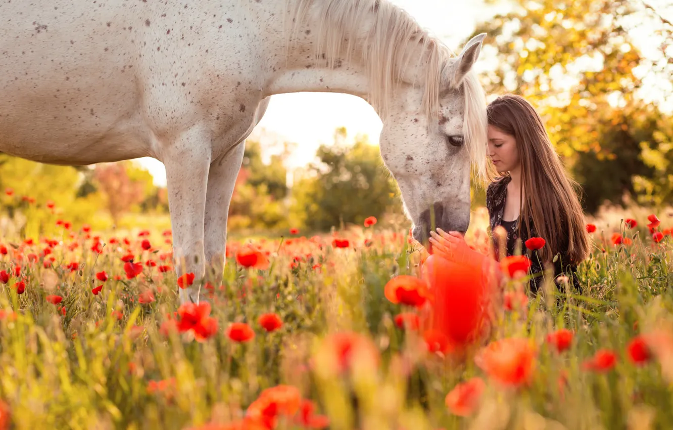 Photo wallpaper summer, girl, nature, horse
