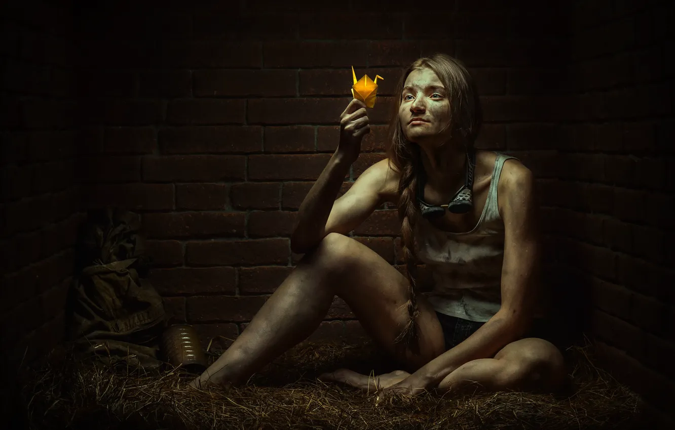 Photo wallpaper girl, wall, brick, camera, hay, braid, Sergey Spoyalov