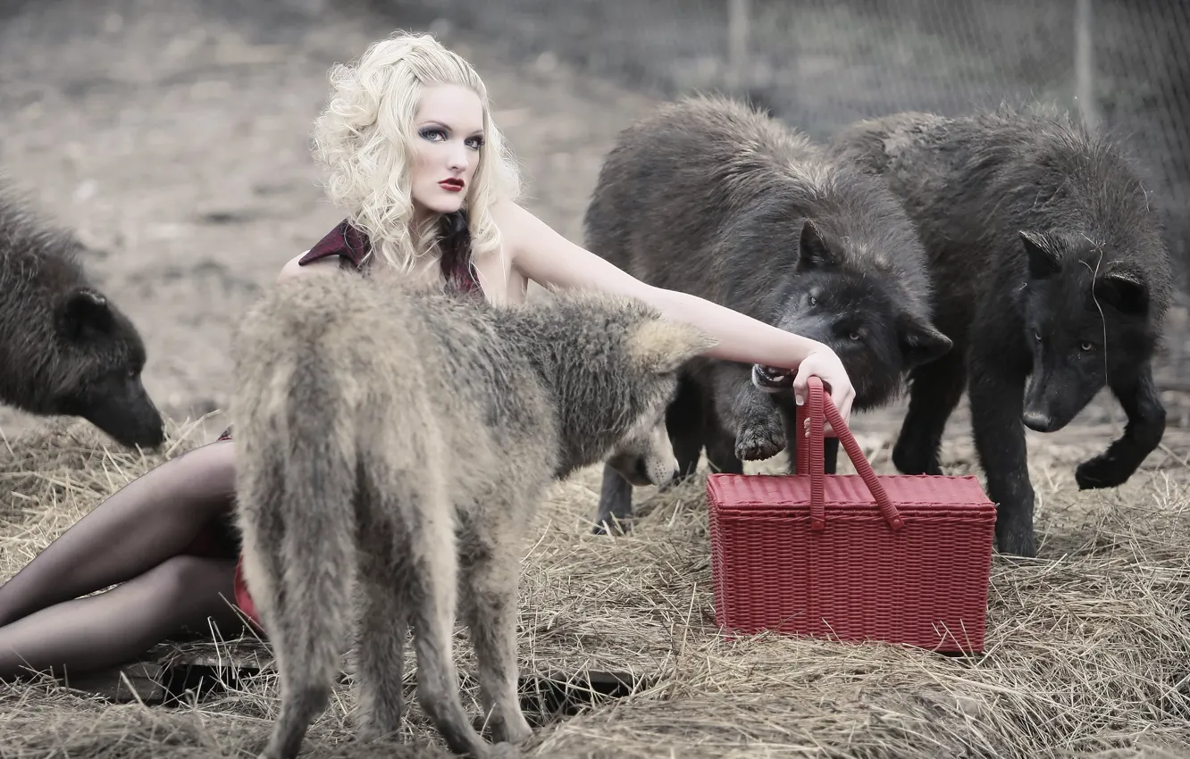 Photo wallpaper look, face, girl, red, pose, style, feet, wolf