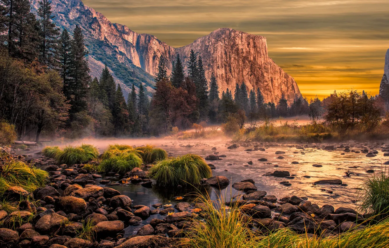 Photo wallpaper forest, sunset, mountains, stones, rocks, shore, Yosemite, pond