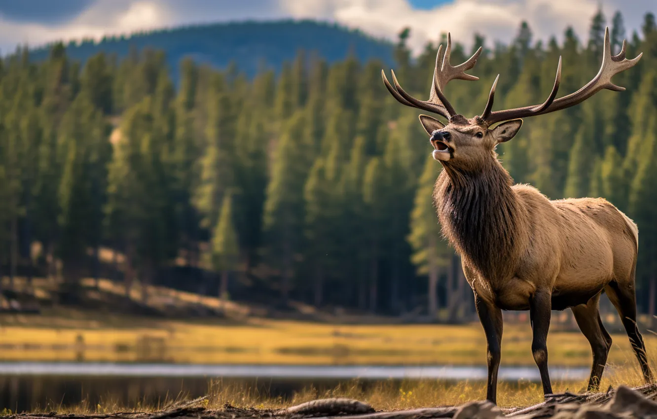 Photo wallpaper forest, mountains, nature, deer, AI art, neural network