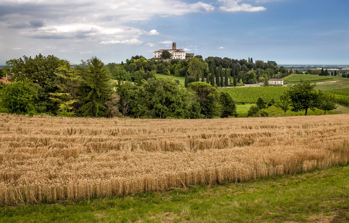 Photo wallpaper Nature, Field, The city, Italy, Landscape, Wheat