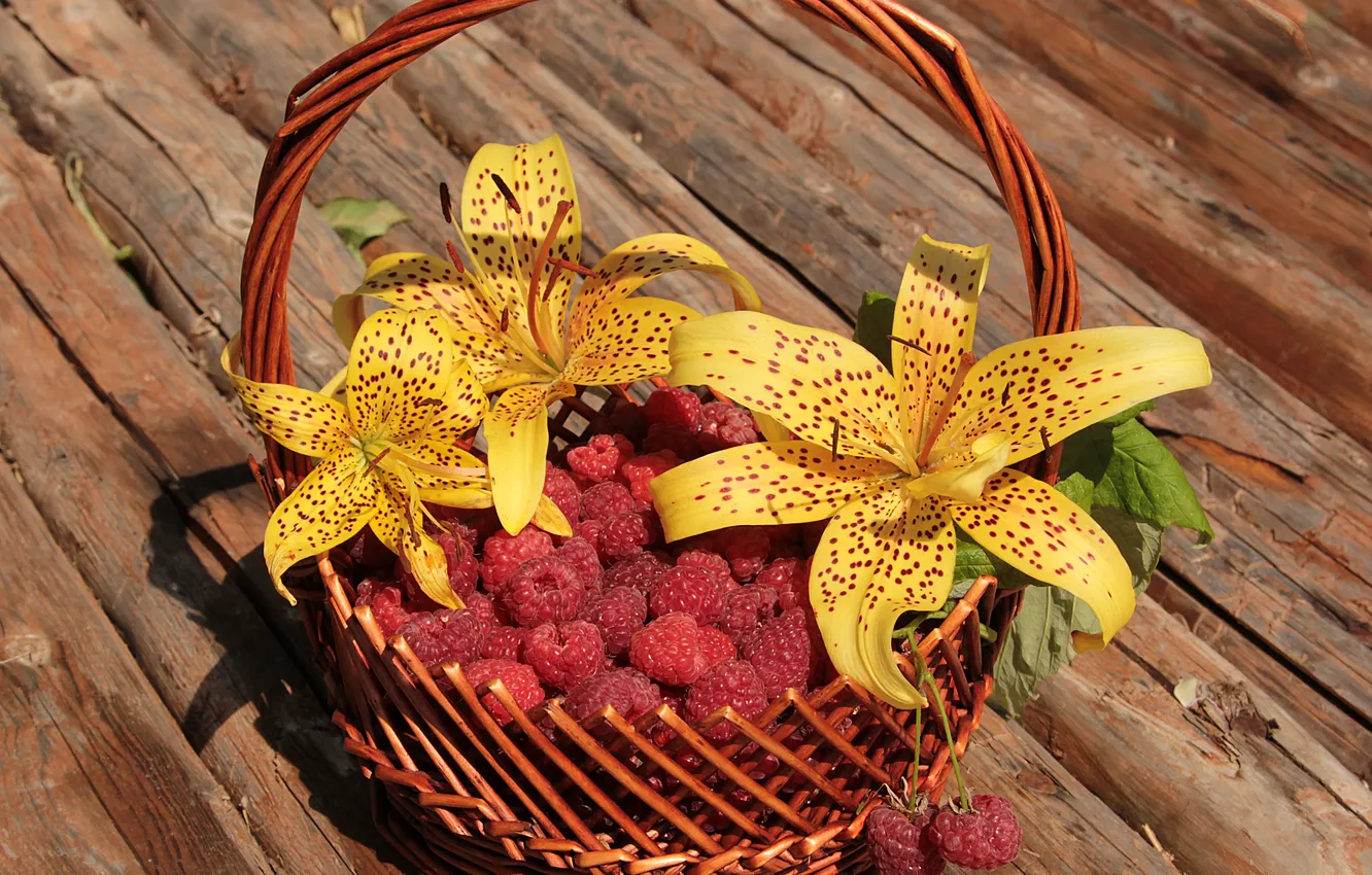Photo wallpaper flowers, raspberry, basket, Lily