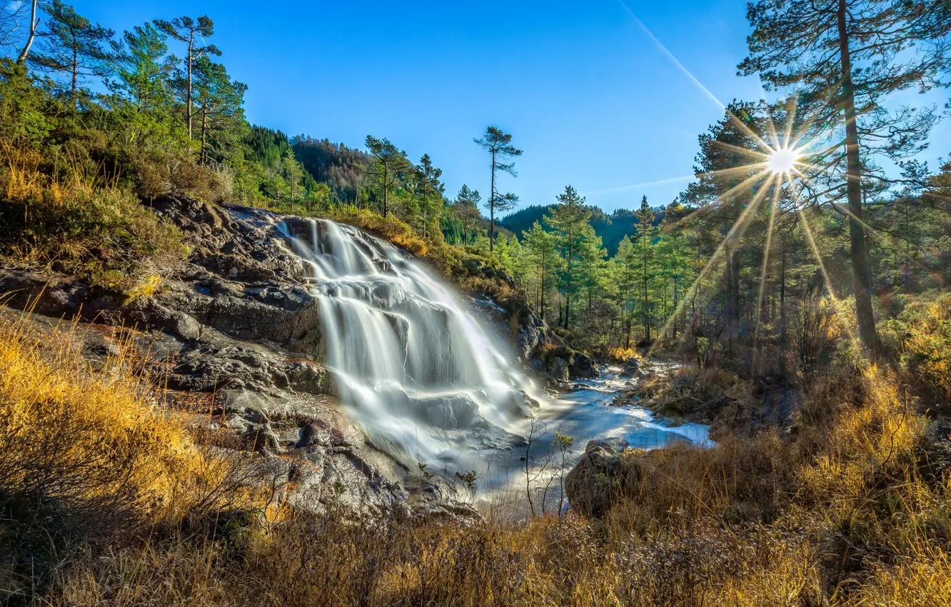 Photo wallpaper forest, the sun, waterfall, Norway, Norway, Rogaland, Kvitingen
